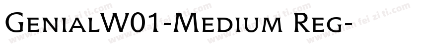GenialW01-Medium Reg字体转换